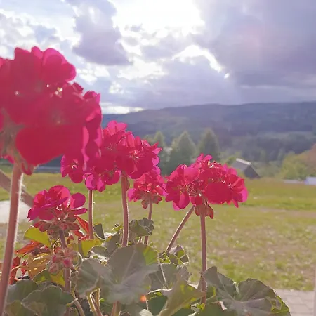 U Vercimaku - Rodinny Dum Se 4 Loznicemi Villa *