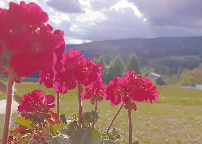 U Verčimáků - Rodinný Dům Se 4 Ložnicemi Villa *